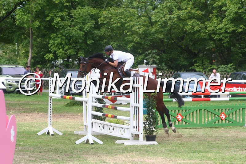 308M5102_Weyona_Springpferde Mx.JPG